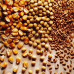 Grain futures edge higher, soybeans extend gains on weather concerns