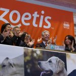 Zoetis becomes more competitive on the vast pharma market
