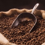 Coffee futures trading outlook: robusta falls amid favorable weather conditions