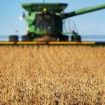 Grains trading outlook: corn, soybeans and wheat futures extend slide