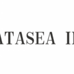 Datasea inks distribution agreement with Meglio