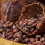 Cocoa Futures Extend Gains as Supply Surplus Forecast Narrows