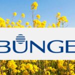 Bunge Warns of Weaker 2026 Earnings on Policy Uncertainty