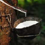 KL Rubber Rises on Futures Rally and Supply Concerns