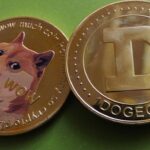 DOGE Slumps as Key Support Nears on Fading Retail Momentum
