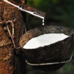 Rubber Prices in KL Slide as Supply Outlook Improves