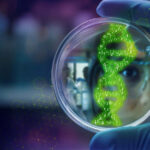 Small Biotech Firms Lead AI Adoption in Drug Development
