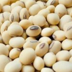 Soybean Futures Edge Higher After Prior Session Pullback
