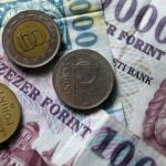 Forint Surge Puts Exchange Rate Stability in Focus