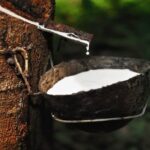 Rubber Prices Mixed as Global Data Supports Demand
