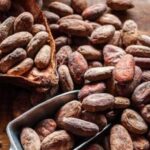 El Niño Risk Lifts Cocoa as Ecuador Exports Shrink
