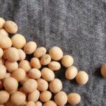 Soybean Futures Rise on Fresh Buying, Export Demand