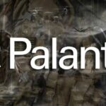 PLTR Technical Battleground: Traders Split at $55 Pivot