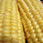 Corn Drops for a Third Day, Wheat Climbs