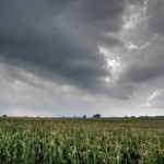 Corn Gains Following Concerning Weather 